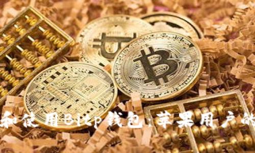 如何下载和使用Bitp钱包：苹果用户的详细指南