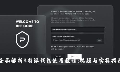 全面解析B特派钱包使用教程：视频与实操指南
