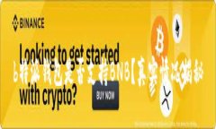 b特派钱包是否支持BNB？真实情况揭秘