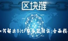 如何解决BitP服务器错误：全面指南