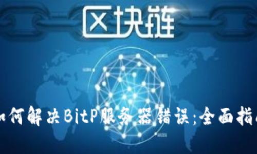 如何解决BitP服务器错误：全面指南