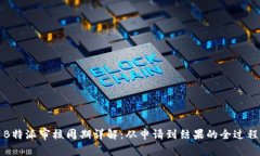 B特派审核周期详解：从申请到结果的全过程