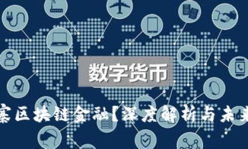 什么是山寨区块链金融？深度解析与未来发展趋势