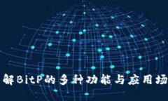 详解BitP的多种功能与应用场景