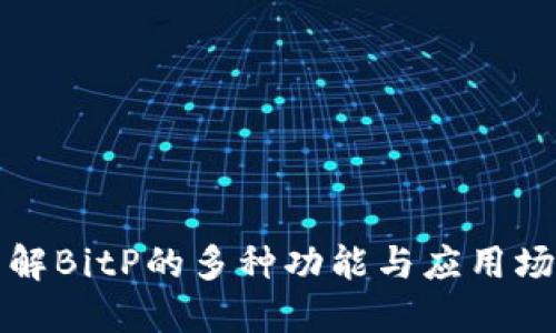 详解BitP的多种功能与应用场景