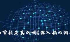 区块链游戏提币审核是真的吗？深入揭示游戏中