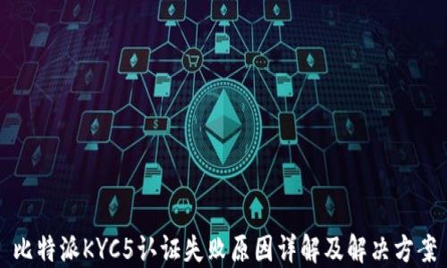 
比特派KYC5认证失败原因详解及解决方案