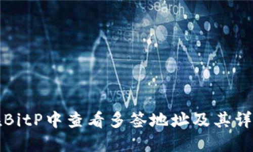 如何在BitP中查看多签地址及其详细信息