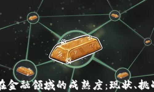 
区块链在金融领域的成熟度：现状、挑战与未来