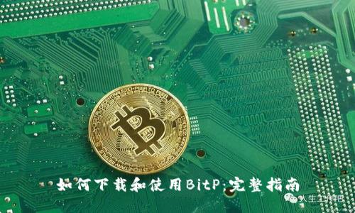 如何下载和使用BitP：完整指南