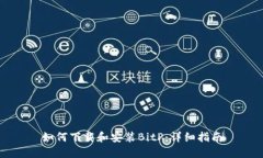 如何下载和安装BitP：详细指南