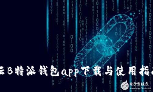 云B特派钱包app下载与使用指南