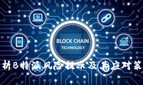 解析B特派风险提示及其应对策略