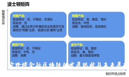 南宁跨境金融区块链的发展现状与未来展望
