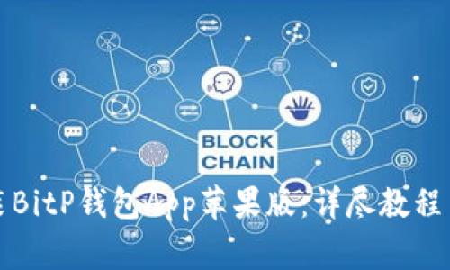 如何下载和安装BitP钱包App苹果版：详尽教程与常见问题解答