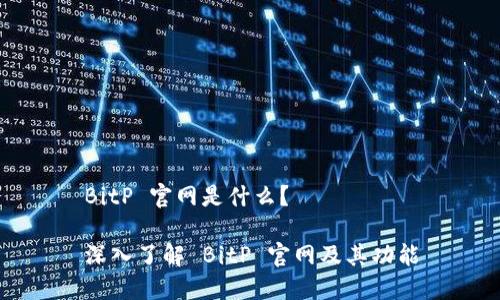 BitP 官网是什么？

深入了解 BitP 官网及其功能