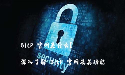 BitP 官网是什么？

深入了解 BitP 官网及其功能