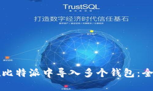 如何在比特派中导入多个钱包：全面指南