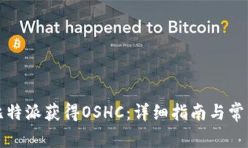 如何利用比特派获得OSHC：详细指南与常见问题解答