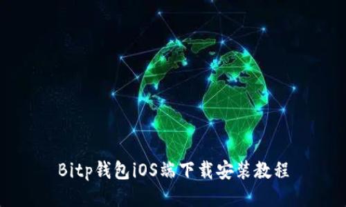 Bitp钱包iOS端下载安装教程
