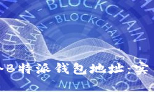如何管理多个B特派钱包地址：实用指南与建议