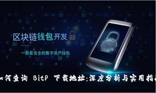如何查询 BitP 下载地址：深度分析与实用指南