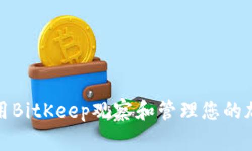 如何使用BitKeep观察和管理您的加密钱包