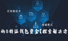 如何追回被盗的B特派钱包资金？探索解决方案与
