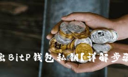 如何安全导出BitP钱包私钥？详解步骤与注意事项