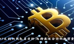 深入了解BitP支持的钱包与币种：选择最适合你的