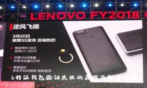 b特派钱包验证失败的原因及解决方案
