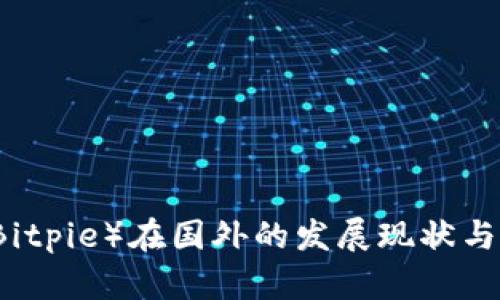 比特派（Bitpie）在国外的发展现状与前景分析