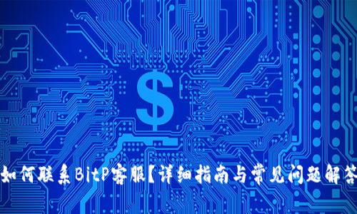 如何联系BitP客服？详细指南与常见问题解答