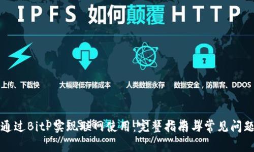 如何通过BitP实现联网使用：完整指南与常见问题解答