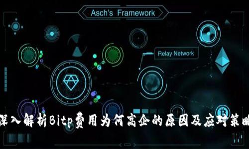 深入解析Bitp费用为何高企的原因及应对策略