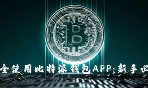 如何安全使用比特派钱包APP：新手必备指南