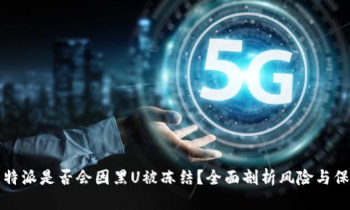比特派是否会因黑U被冻结？全面剖析风险与保障