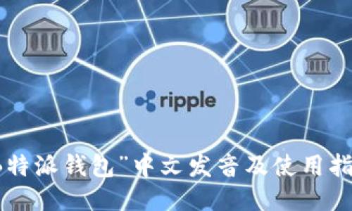 “B特派钱包”中文发音及使用指南