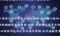 tiaoti比特派钱包不到账？全面解析及解决方案/