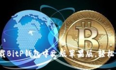 详尽指南：如何下载BitP钱包中文版苹果版，轻松