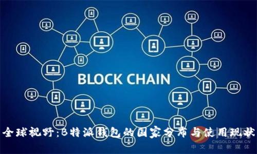全球视野：B特派钱包的国家分布与使用现状