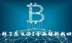 比特派钱包掉了怎么办？全面解析找回方法与技