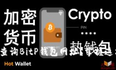 如何安全查询BitP钱包网址？掌握这六个诀窍！