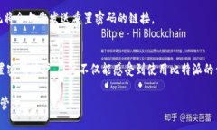 比特派联网模式怎么设置密码保护比特派, 密码保