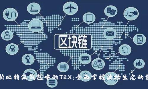 深入解析比特派钱包中的TRX：全面掌握波场生态的资产管理