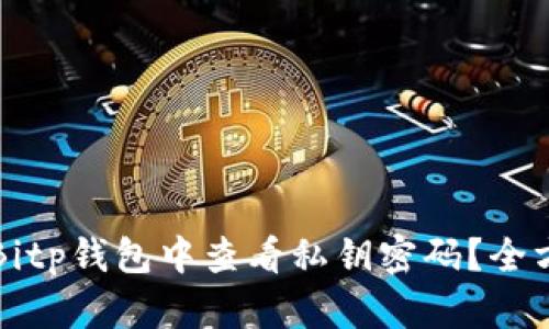 如何在Bitp钱包中查看私钥密码？全方位指南