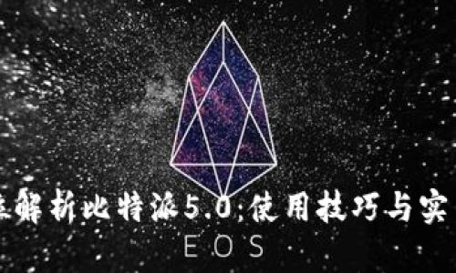 全方位解析比特派5.0：使用技巧与实用指南