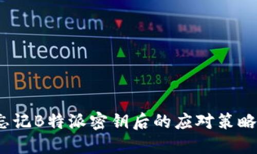 急救指南：忘记B特派密钥后的应对策略与解决方案