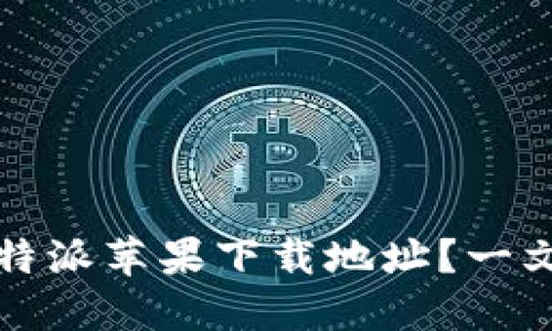 如何轻松找到比特派苹果下载地址？一文教你设置与下载