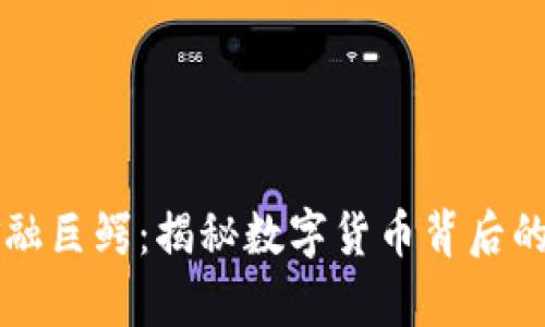 区块链金融巨鳄：揭秘数字货币背后的财富游戏